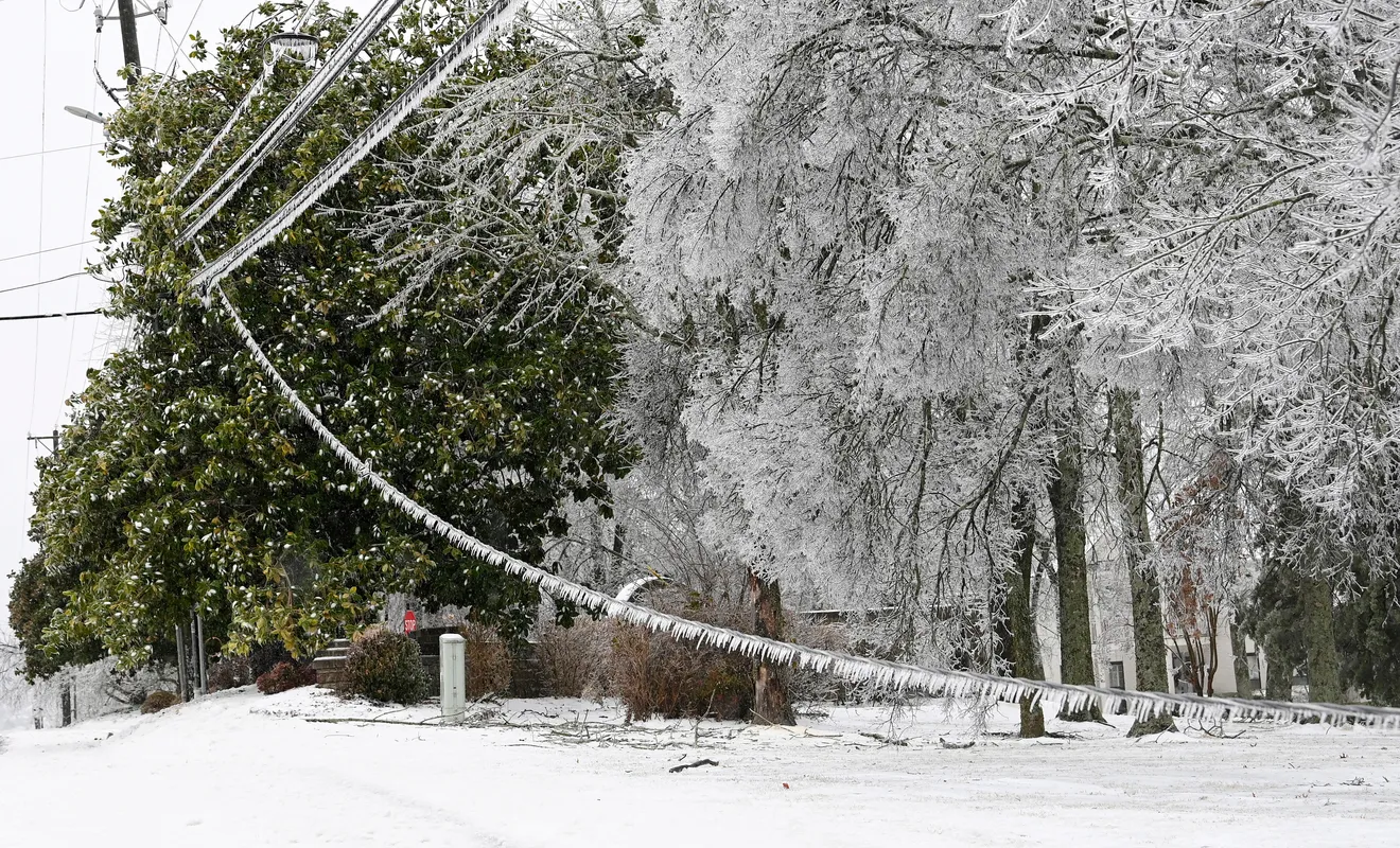 Winter Storm Photo 2